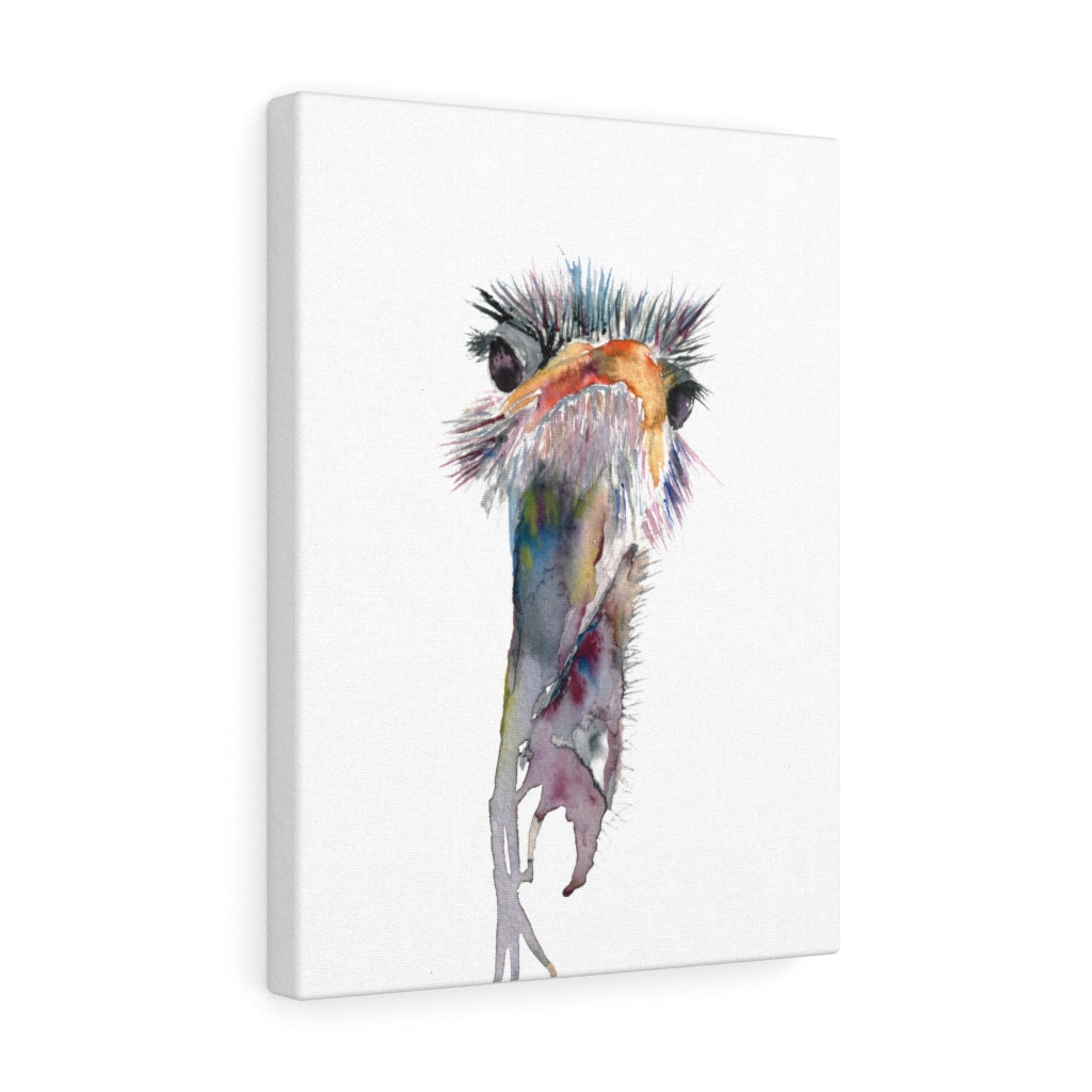 Ostrich Canvas Print - Bee & Oak