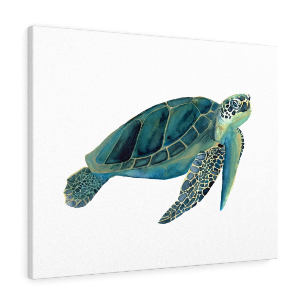 Sea Turtle Watercolor Art Canvas Print - Bee & Oak