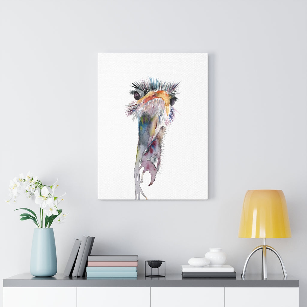 Ostrich Canvas Print - Bee & Oak