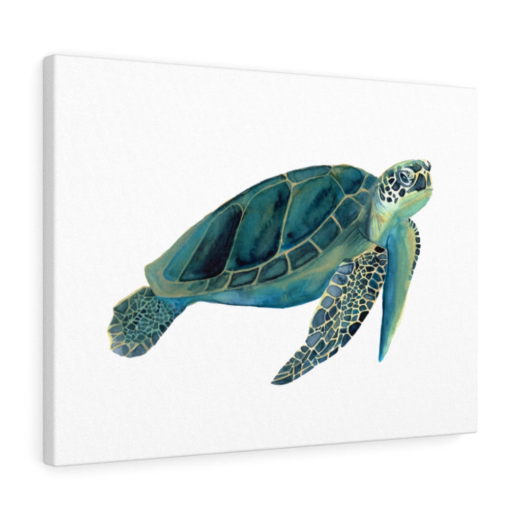 Sea Turtle Watercolor Art Canvas Print - Bee & Oak