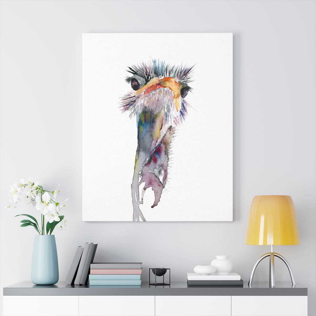 Ostrich Canvas Print - Bee & Oak