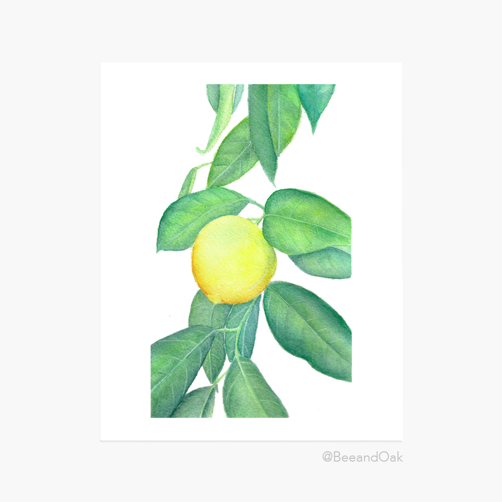 Lemon Art Print - Bee & Oak