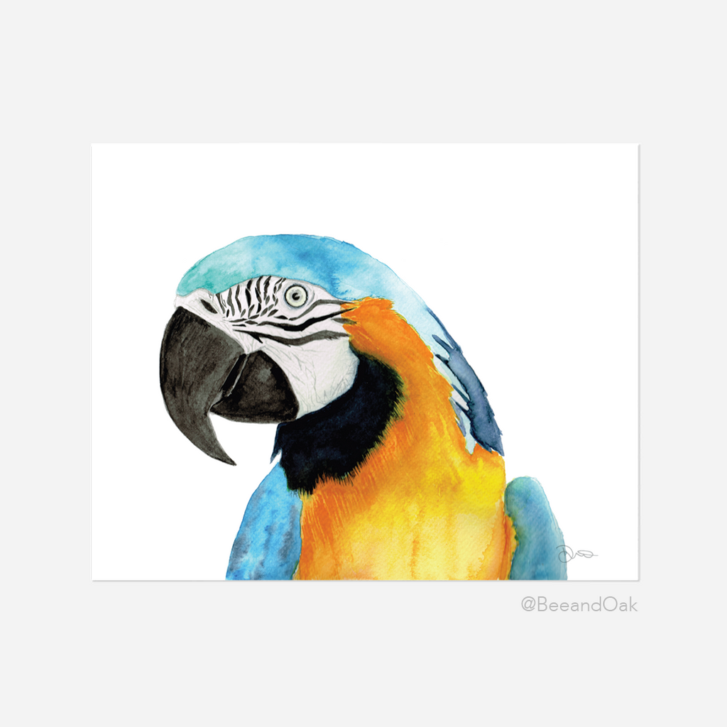 Blue and Yellow Macaw Art Print - Bee & Oak
