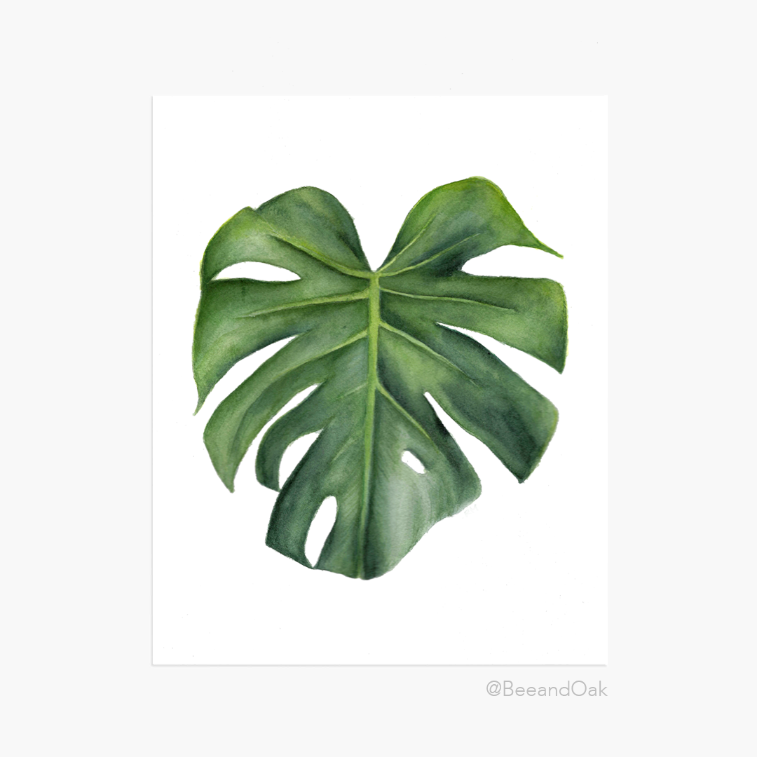 monstera leaf art Monstera Leaf Art Print – Bee & Oak