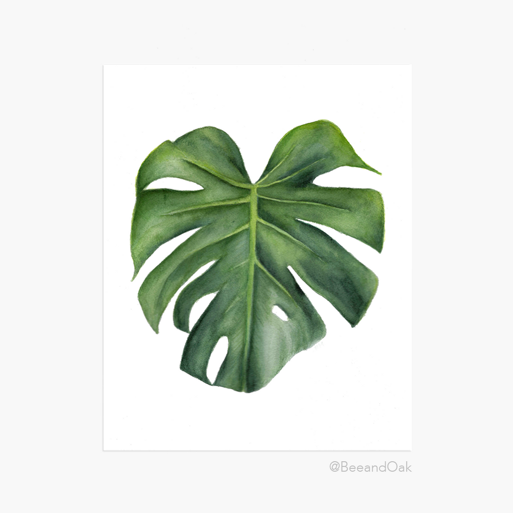 Monstera Leaf Art Print - Bee & Oak