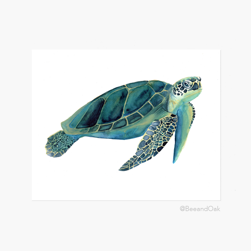 Sea Turtle Watercolor Art Print - Bee & Oak
