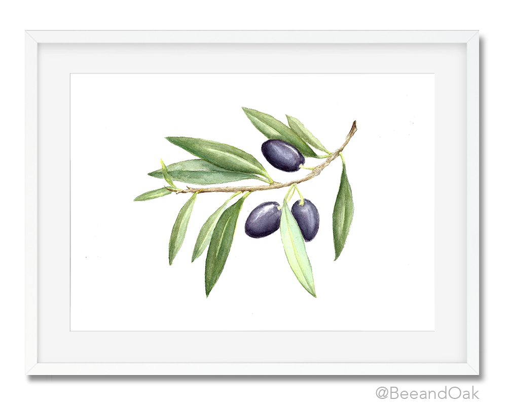 Olive Branch Art Print - Bee & Oak