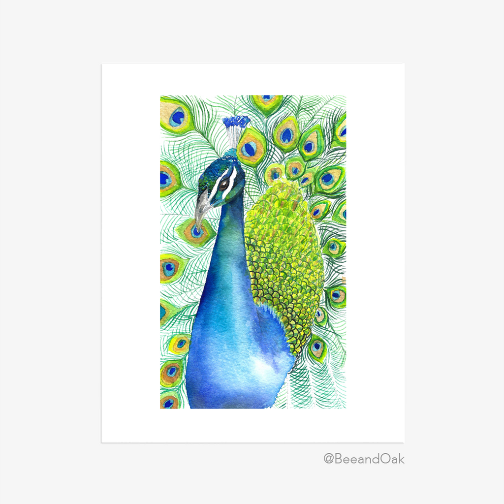 Peacock Art Print - Bee & Oak