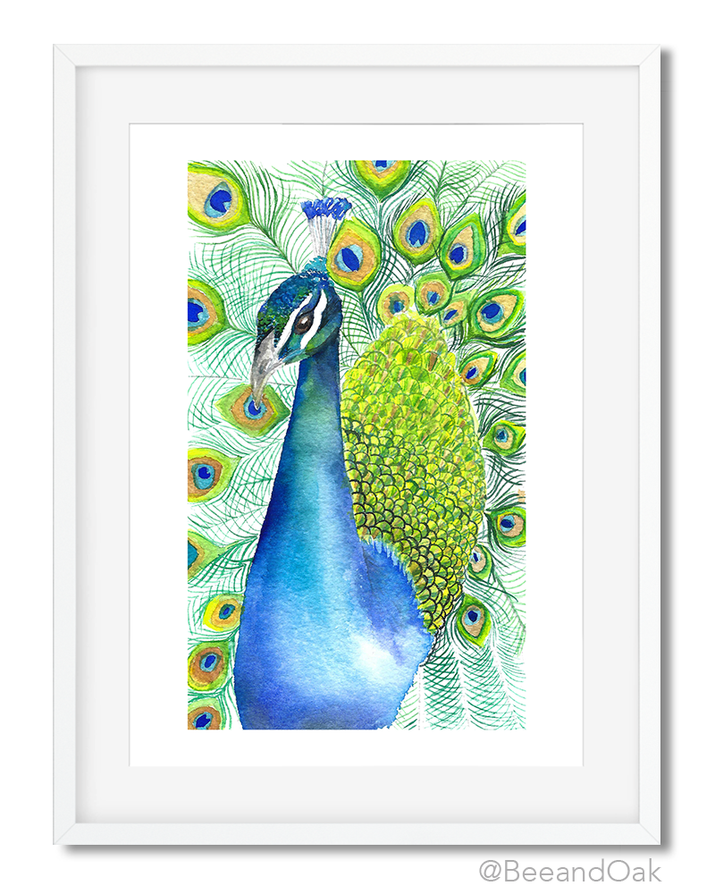 Peacock Art Print - Bee & Oak