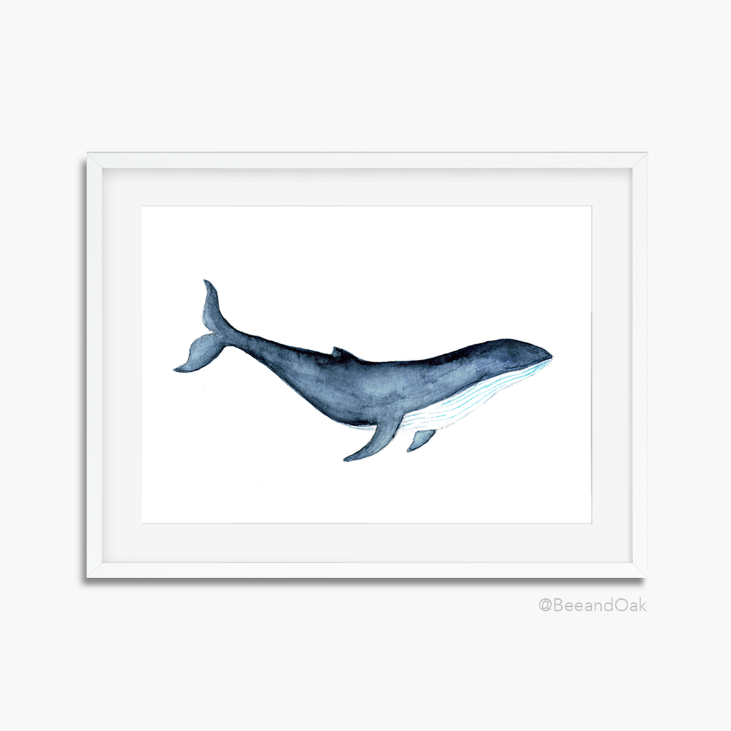 Whale - Watercolor Art Print - Bee & Oak