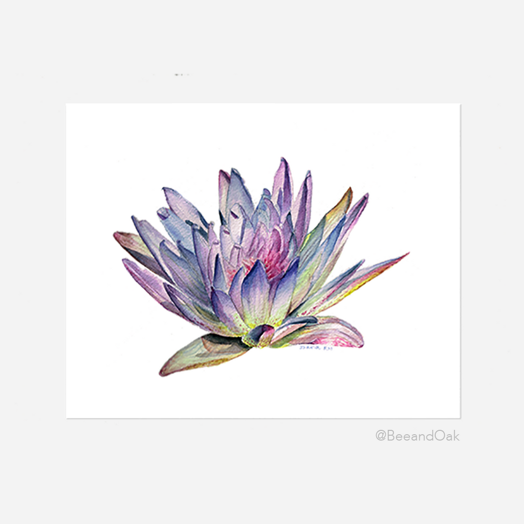 Water Lily Art Print - Bee & Oak