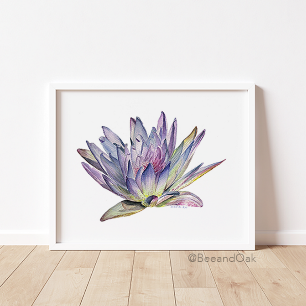Water Lily Art Print - Bee & Oak