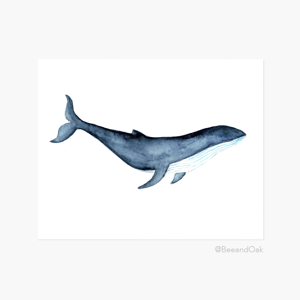 Whale - Watercolor Art Print - Bee & Oak