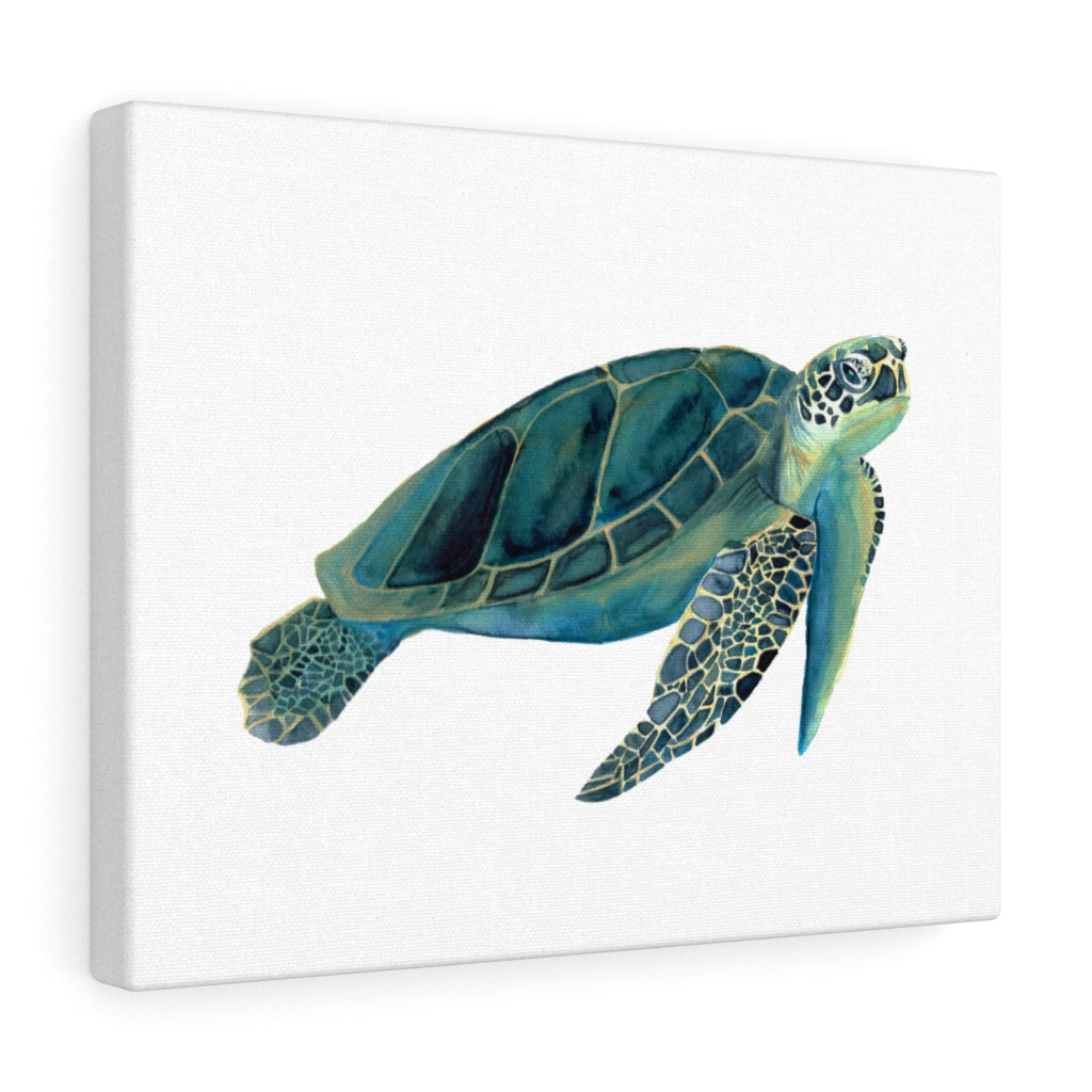 Sea Turtle Watercolor Art Canvas Print - Bee & Oak